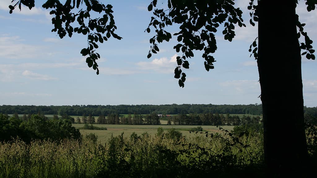 Udsigt over Kongeådalen fra Jelshøj rasteplads