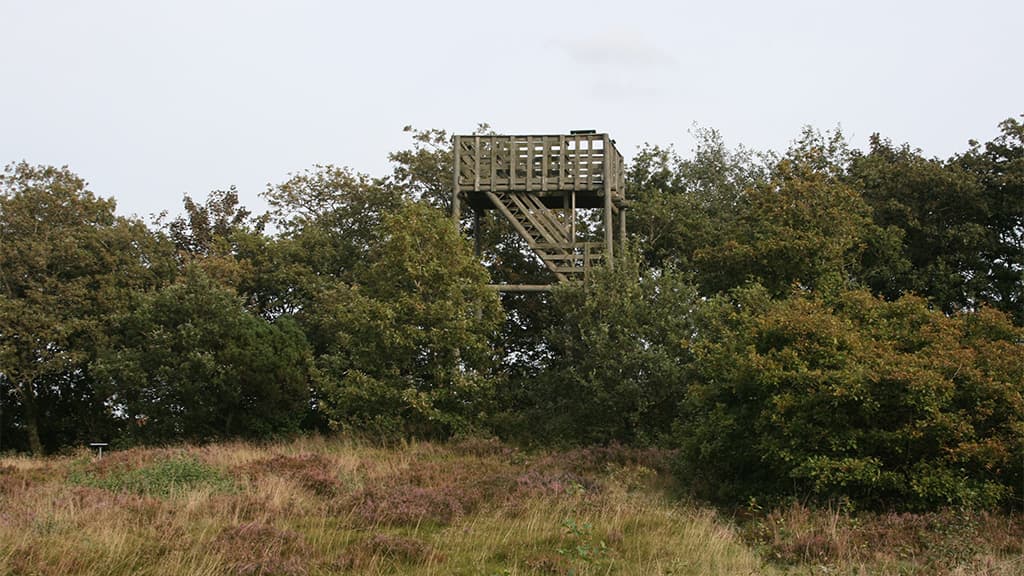 Udsigtstårn Vittrup Baun