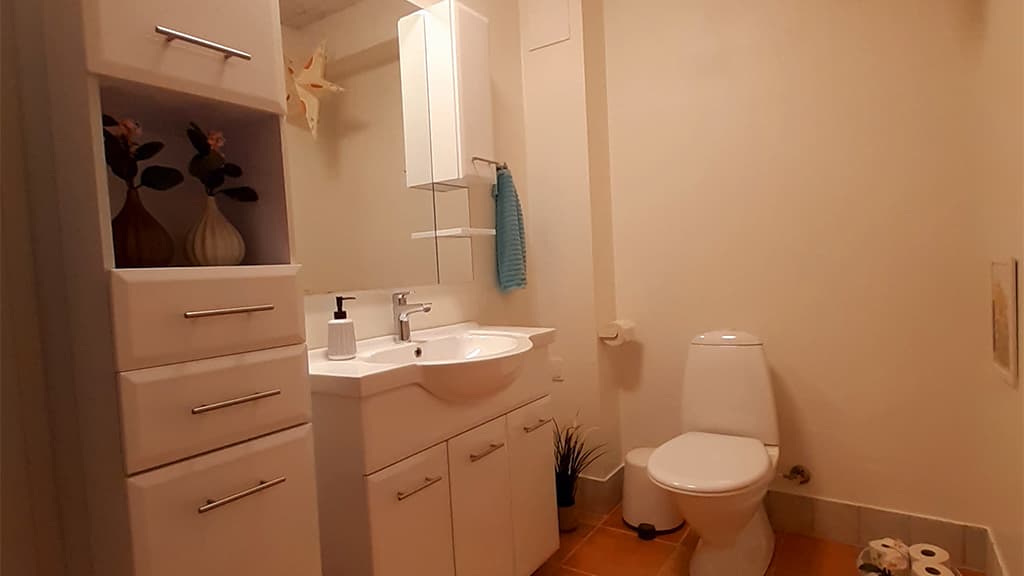 Badeværelse i hytten hos Agnes Bed and Breakfast,