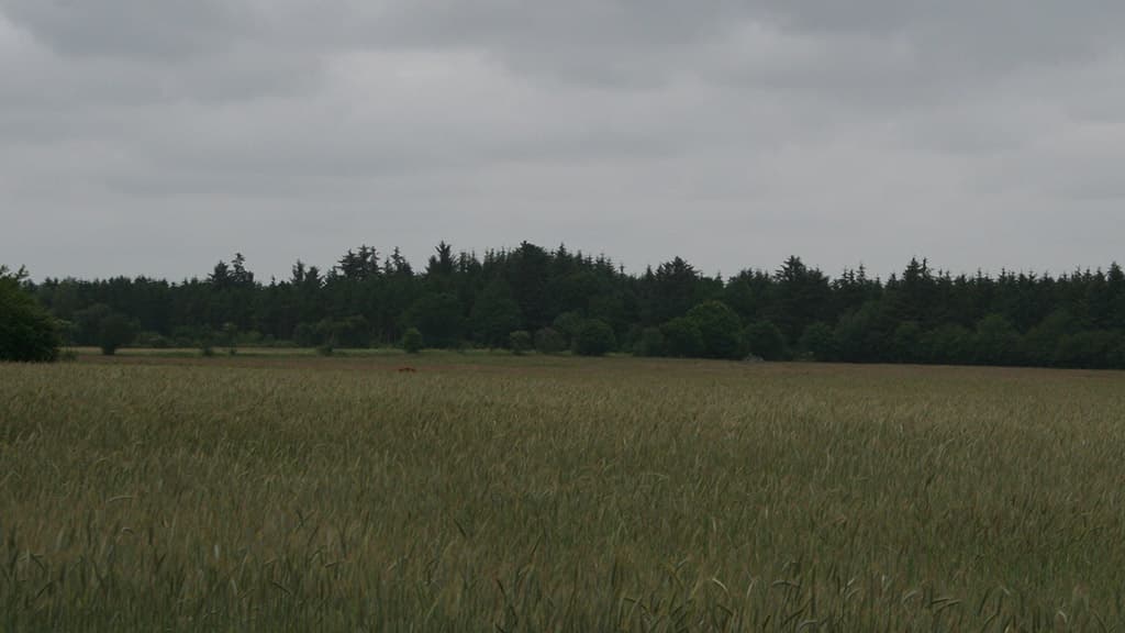 Spor fra radarstation Skødevej