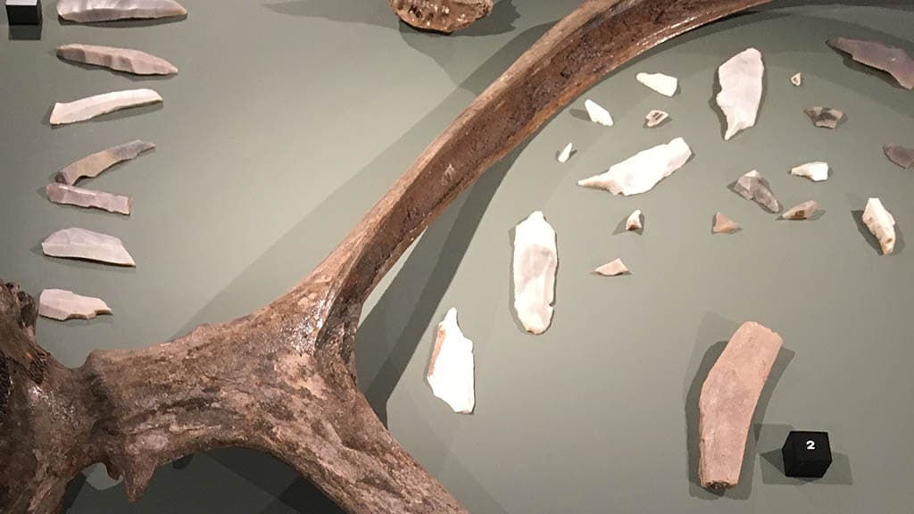 Zink - ligger øverst til højre.