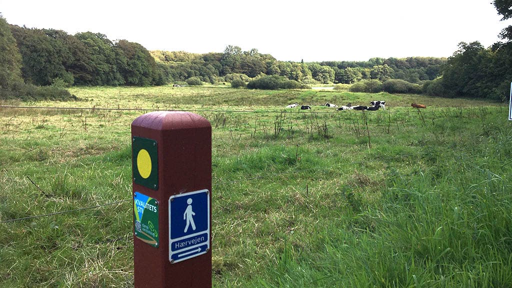 Engen ved Jels Volsted