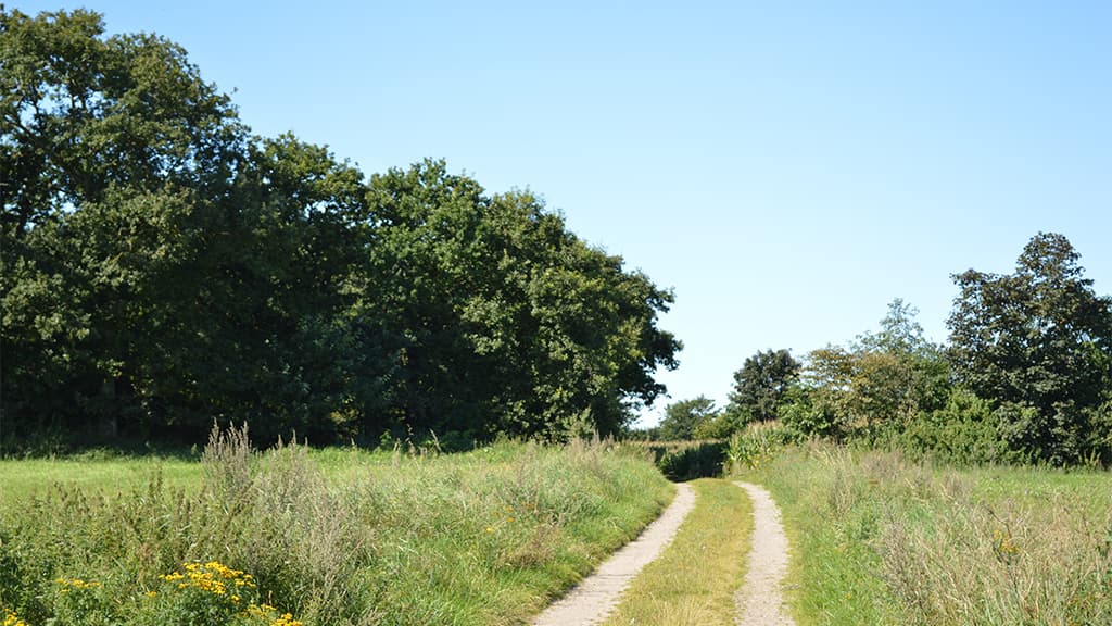 Sortevej og Sortehøj - Skodborghus