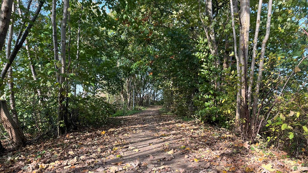 Kleinbahnrester i Jels