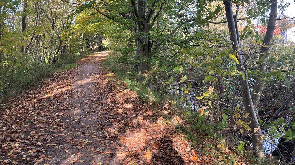 Kleinbahnrester i Jels