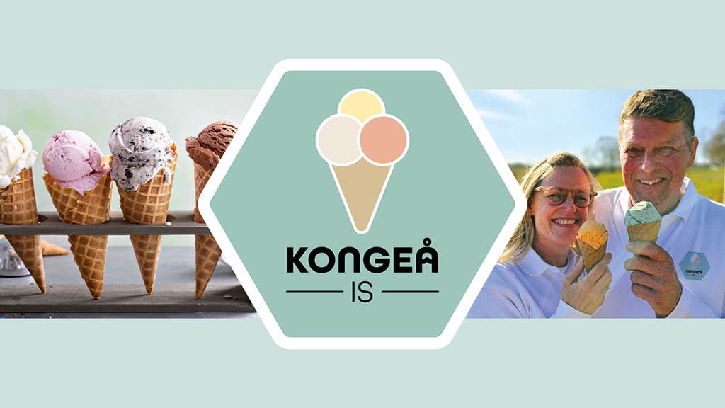 Kongeå Is, Foldingbro