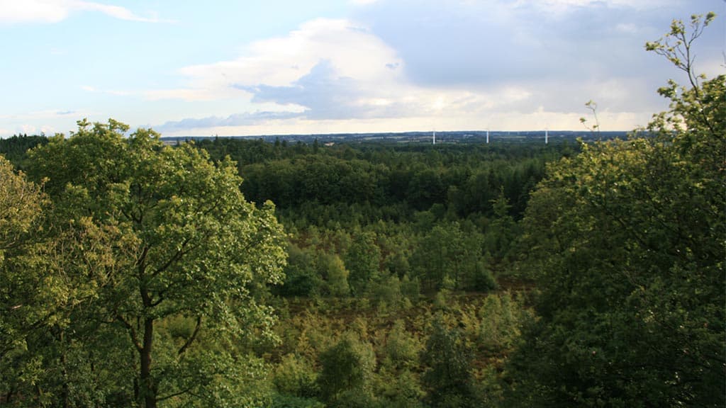 Udsigt fra Fru Mettes Bjerg