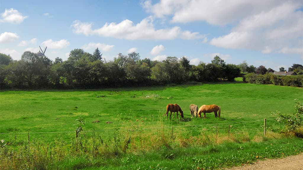 Udsigt fra Slotsgården