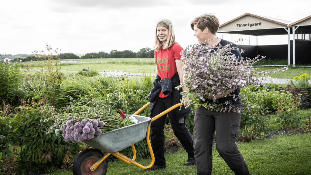 Kvinder slæber blomster hos Tinnetgaard