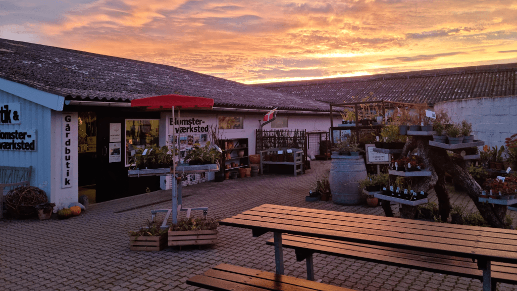 Solopgang over gårdbutikken hos Tinnetgaard