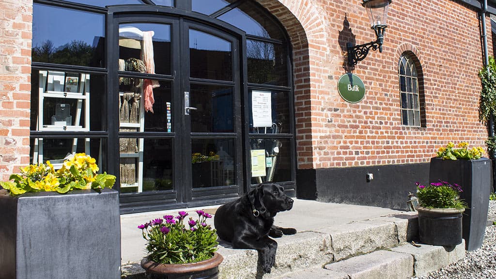 Indgangspartiet til butikken med hund der soler sig foran