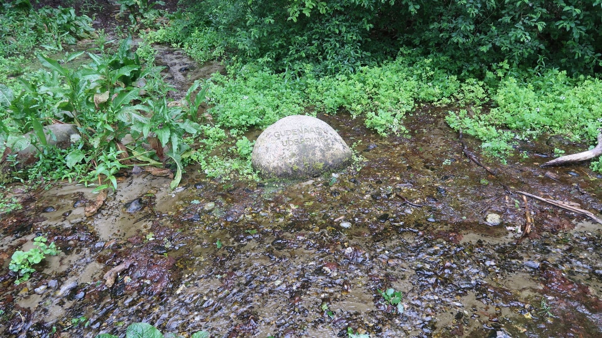 Rørbæk Sø, Tinnet Krat og Gudenåens Udspring