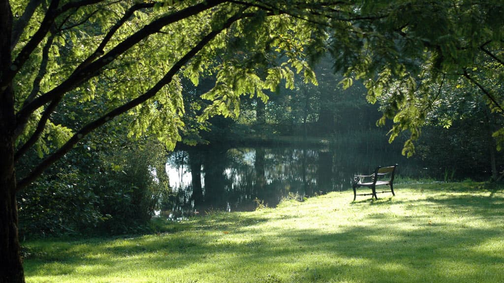 Brandbjerg Herregårds park hvor bænk er placeret tæt ved smuk sød og træer omkring