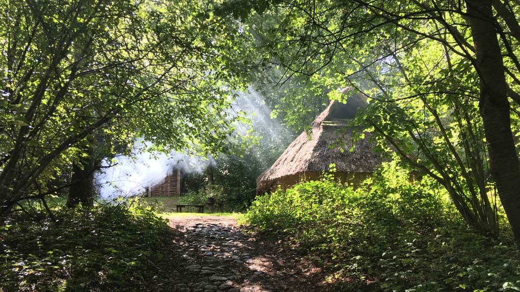 Hus beliggende i lysning i Vingsted Jernalder