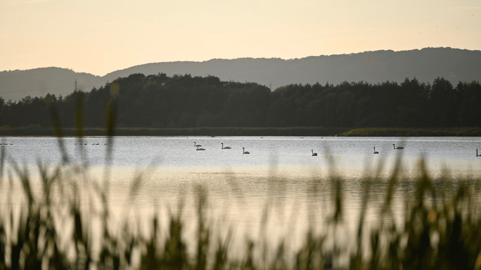 solnedgang ved Kongens Kær