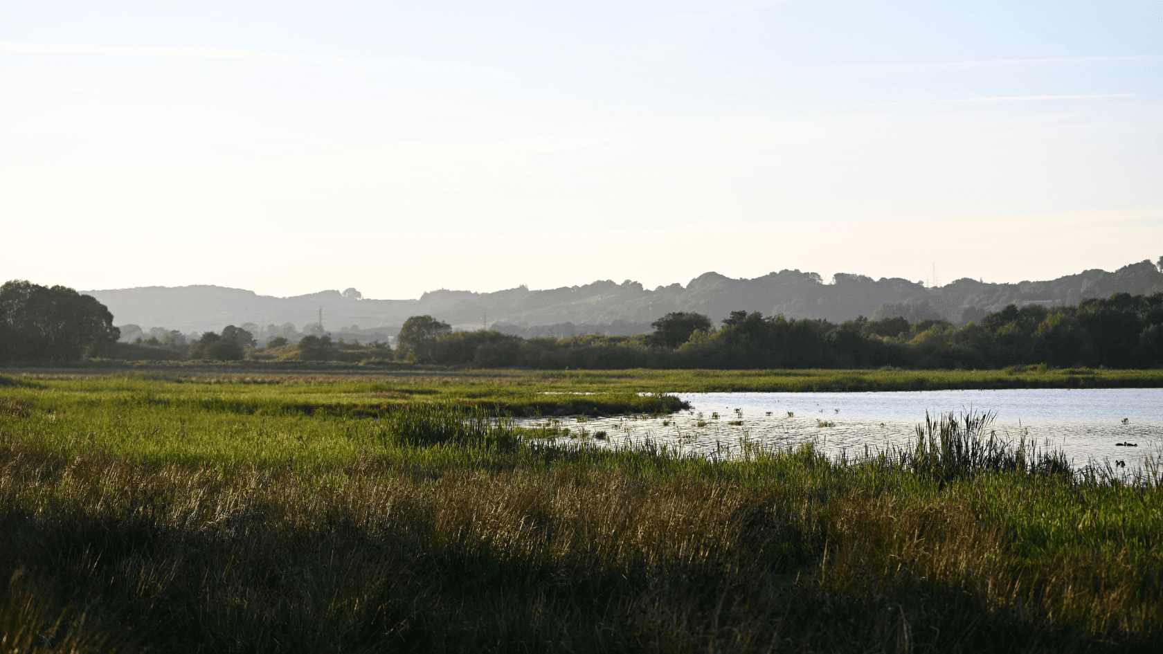udsigt over kongens kær