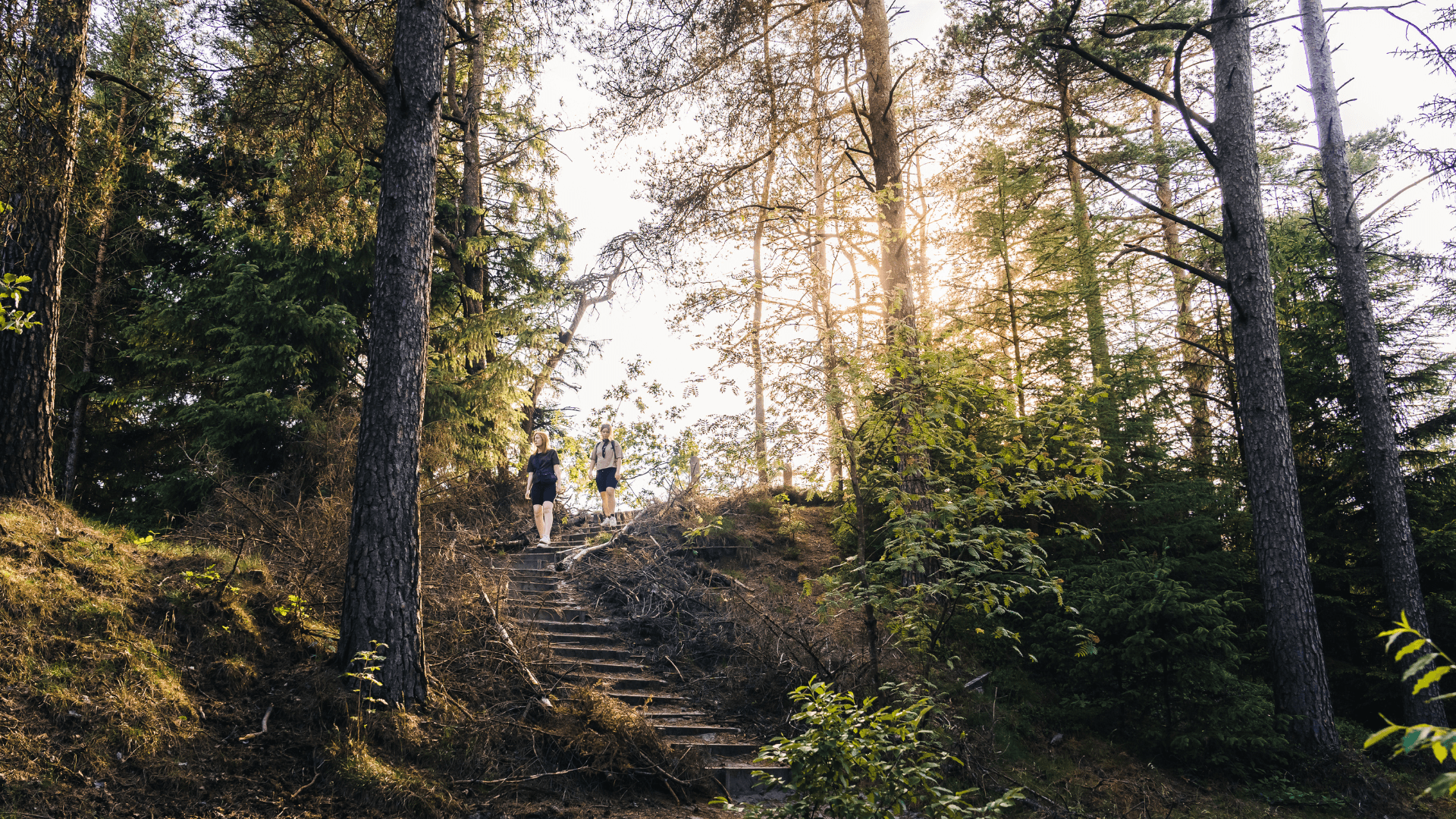 Par på vandretur i Frederikshåb Plantage