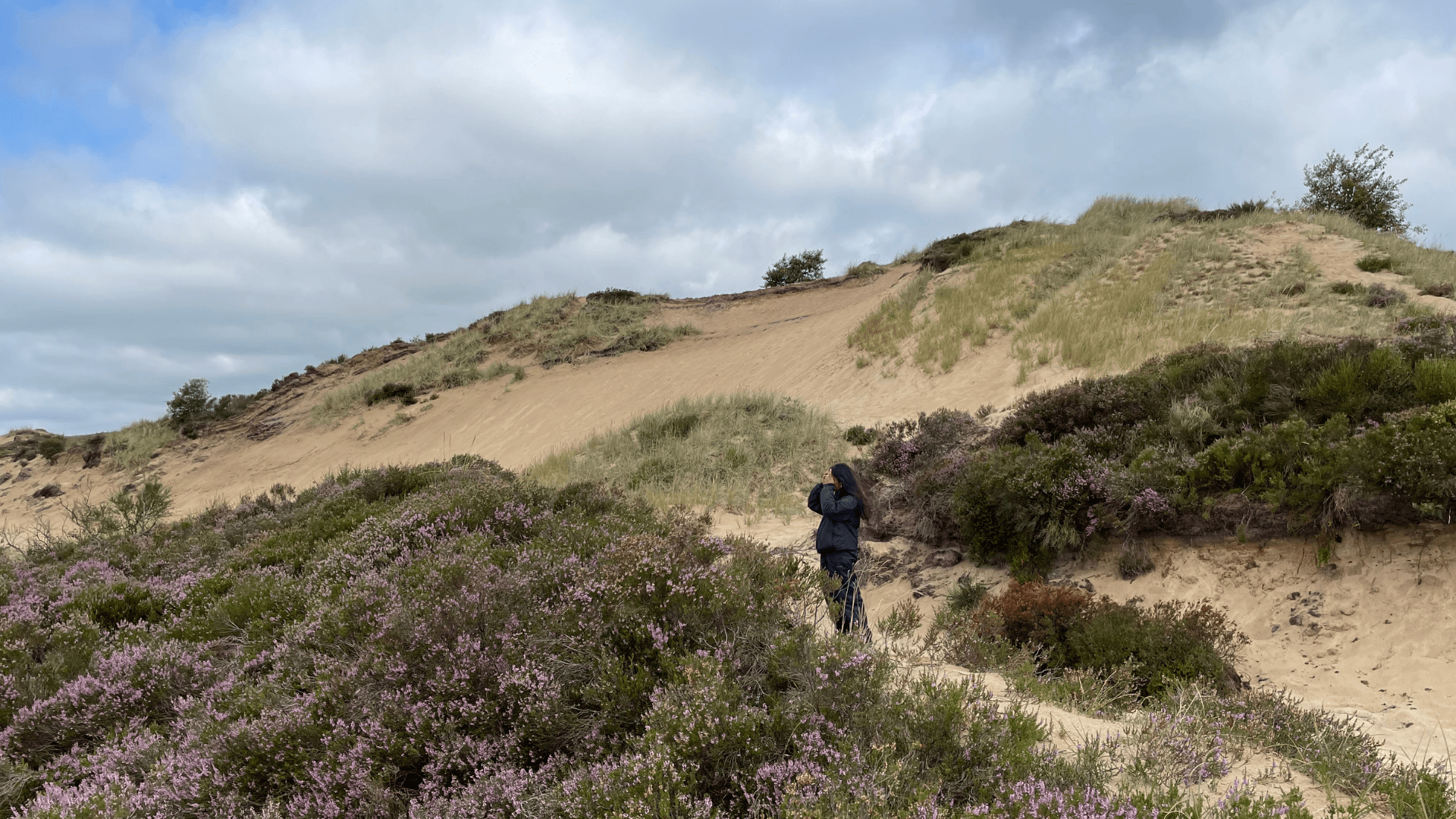 Sandklit på Randbøl Hede