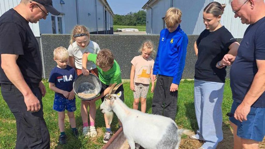 Fodring af dyr på Tinnetgaard hver weekend