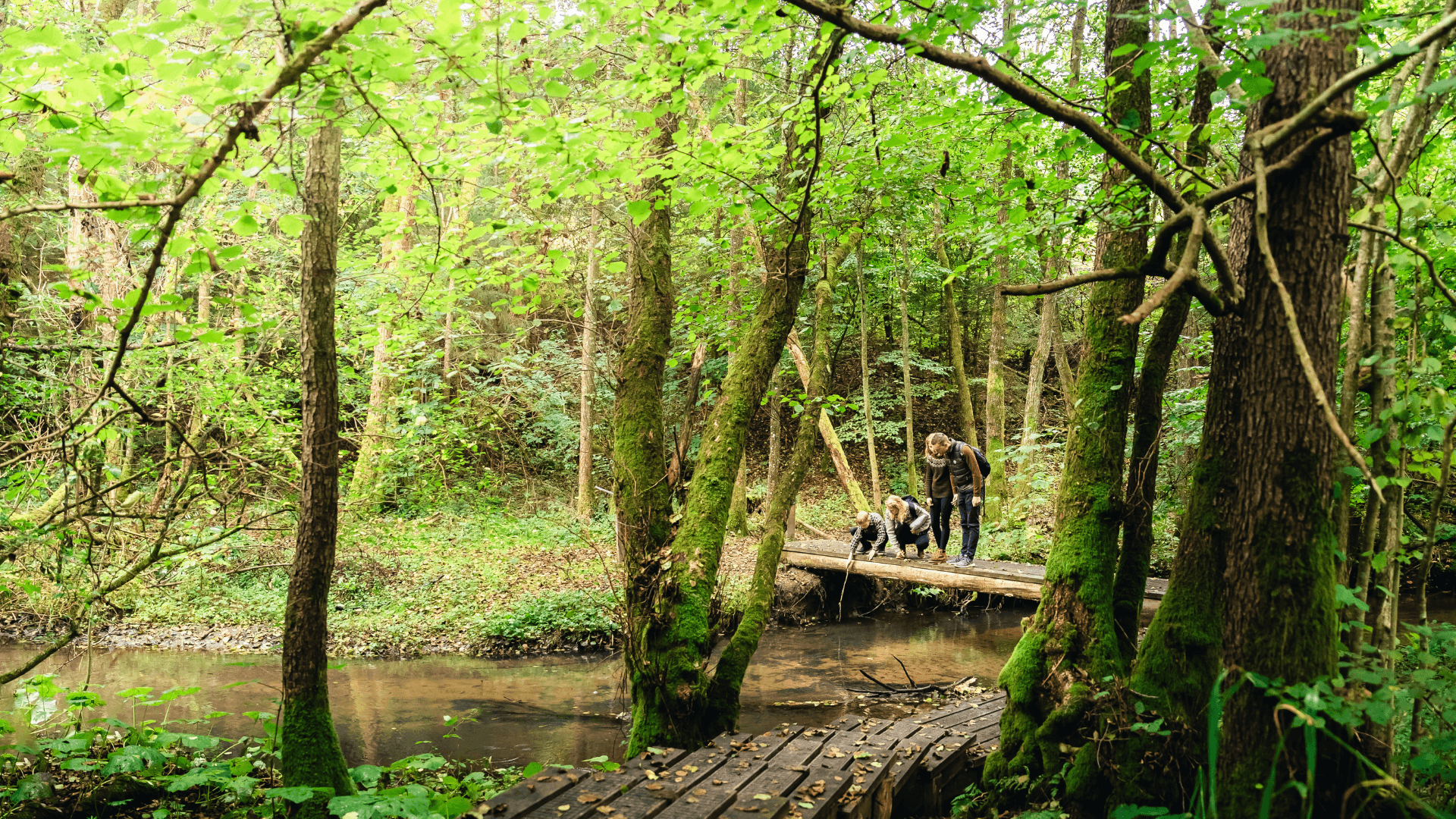 Naturen undersøges af familie på tur i Grejsdalen