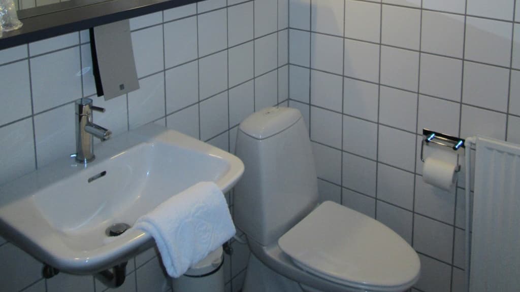 Haraldskær Sinatur Hotel & Konference