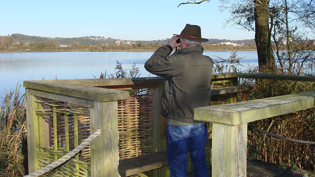 Kongens Kær, Knabberup Sø og Haraldskær Skov