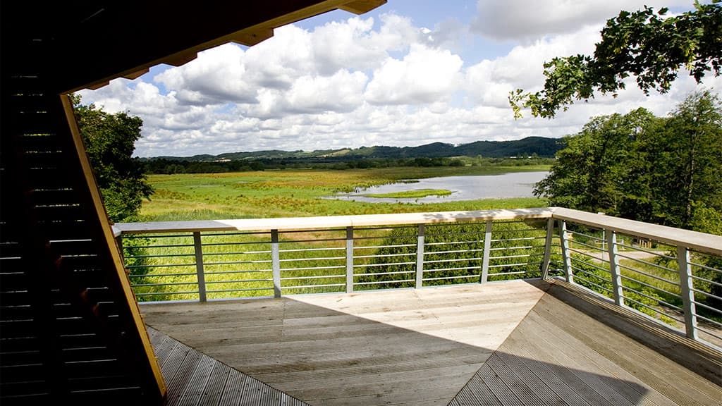 Kongens Kær, Knabberup Sø og Haraldskær Skov