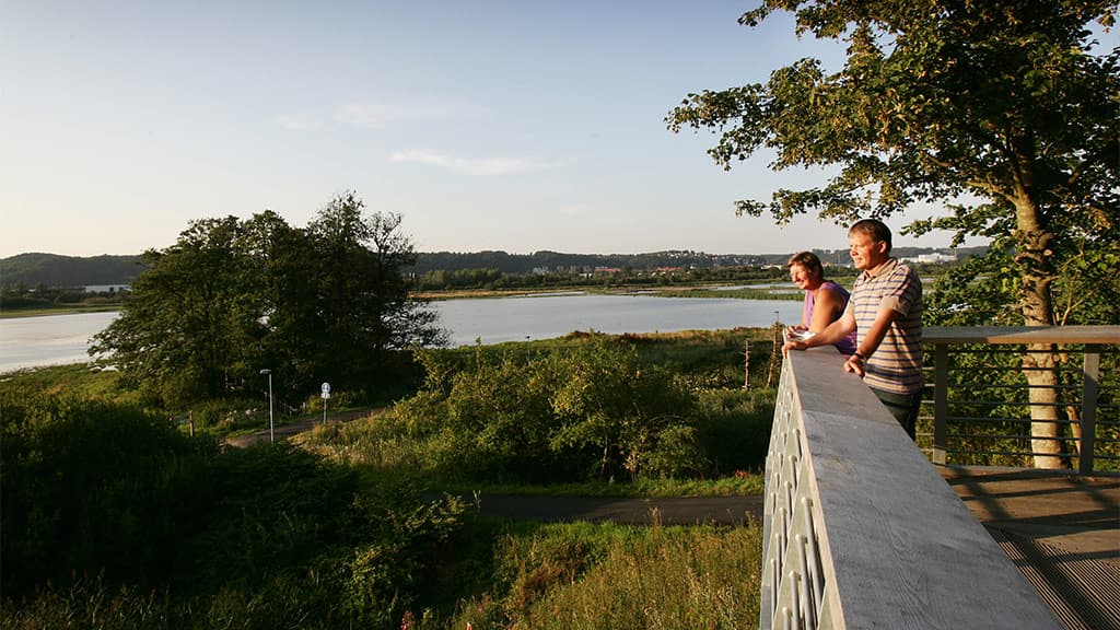 Kongens Kær, Knabberup Sø og Haraldskær Skov