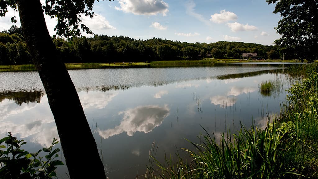 Rørbæk Sø, Tinnet Krat og Gudenåens Udspring