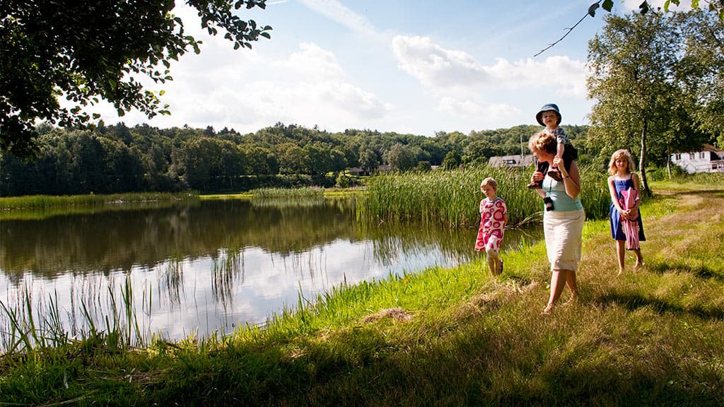 Rørbæk Sø, Tinnet Krat og Gudenåens Udspring