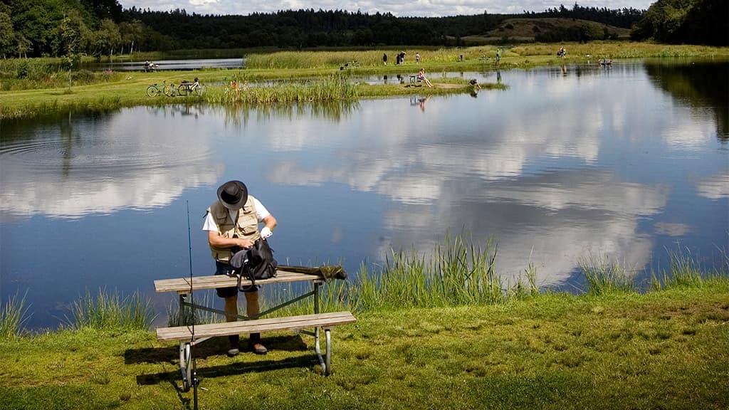 Rørbæk Sø, Tinnet Krat og Gudenåens Udspring