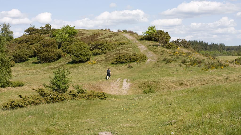 Rørbæk Sø, Tinnet Krat og Gudenåens Udspring