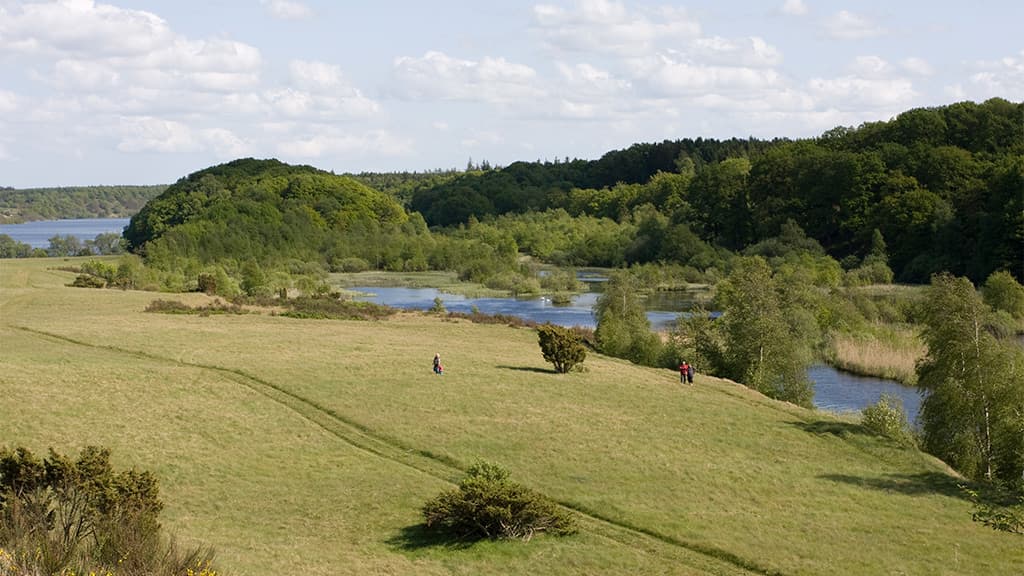 Rørbæk Sø, Tinnet Krat og Gudenåens Udspring
