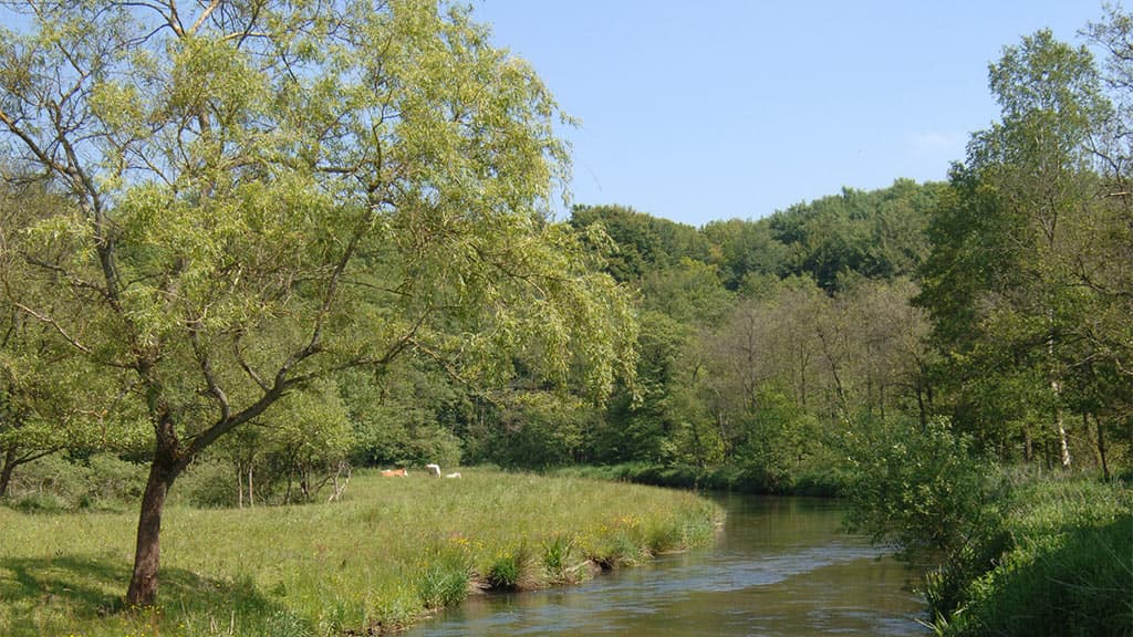 Kongens Kær, Knabberup Sø og Haraldskær Skov