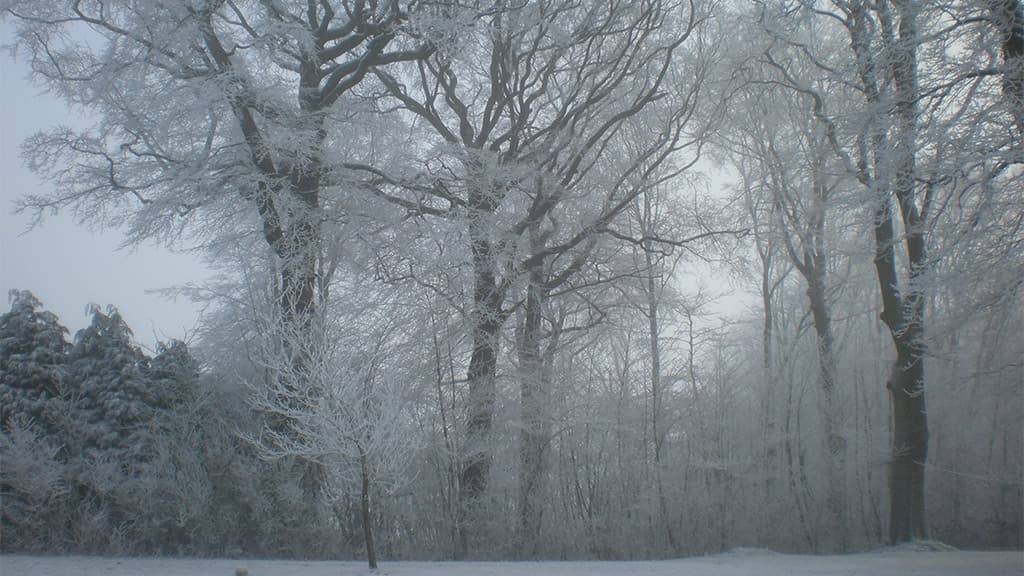 Haughus Gods, Antik og Kræmmermarked