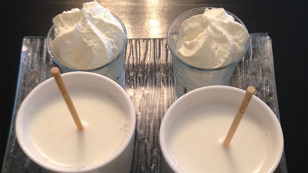 Caféen på Haughus Gods