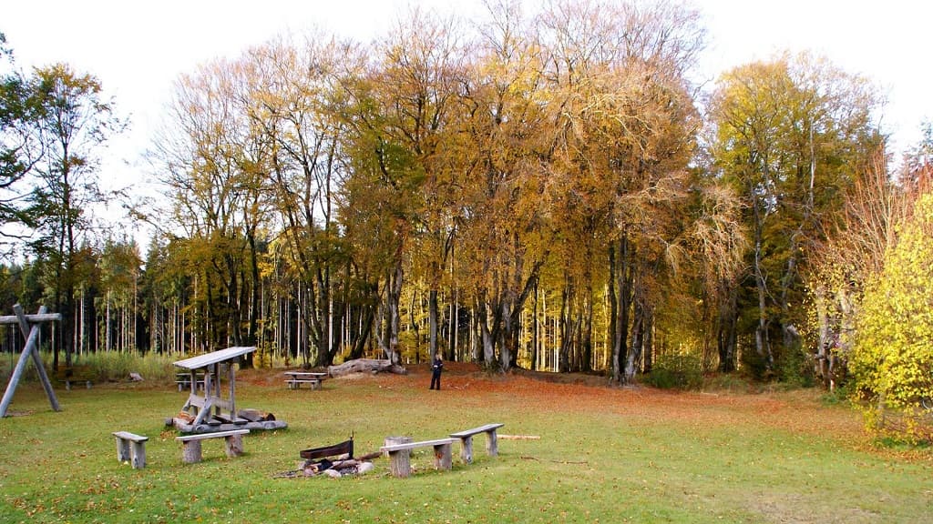 Stabelpladsen i Arden