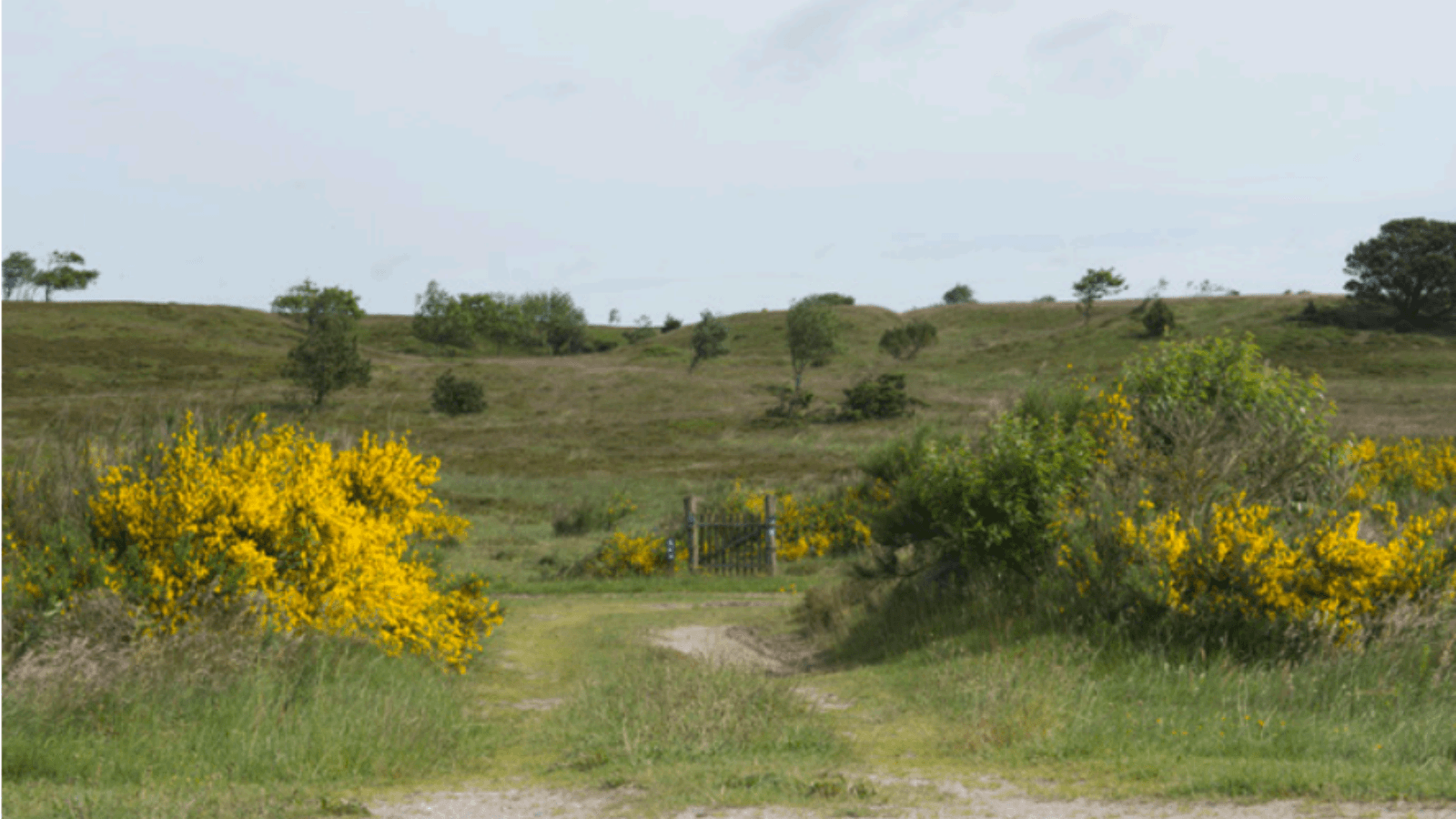Shelter De Himmerlandske Heder