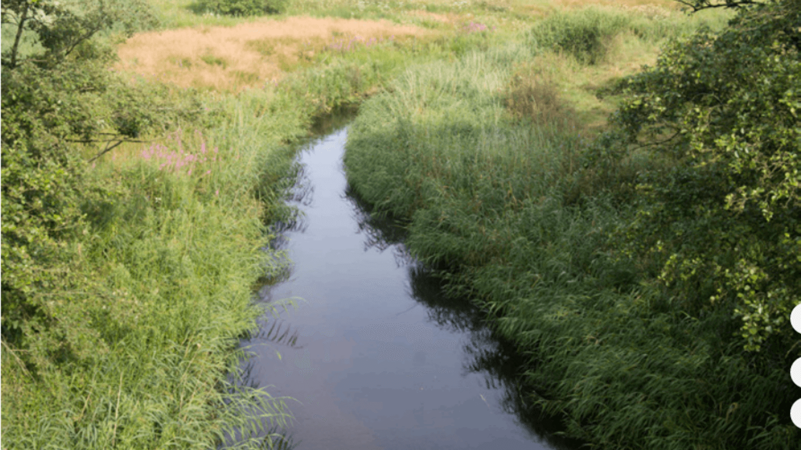 Shelter Lerkenfeldt Å