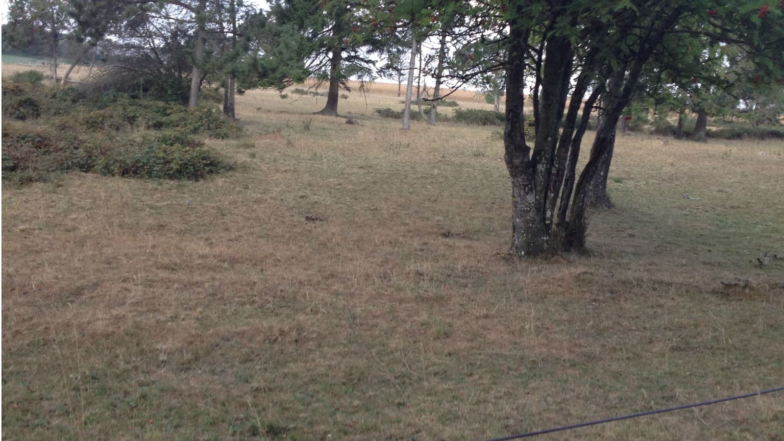 Østerbølle Oldtidsboplads (Vorzeitsiedlung)