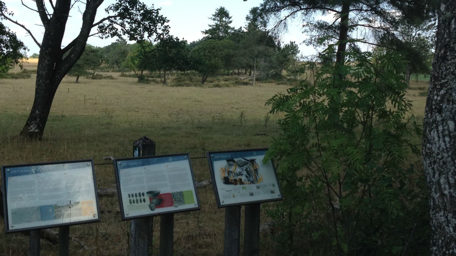 Østerbølle Oldtidsboplads (Vorzeitsiedlung)