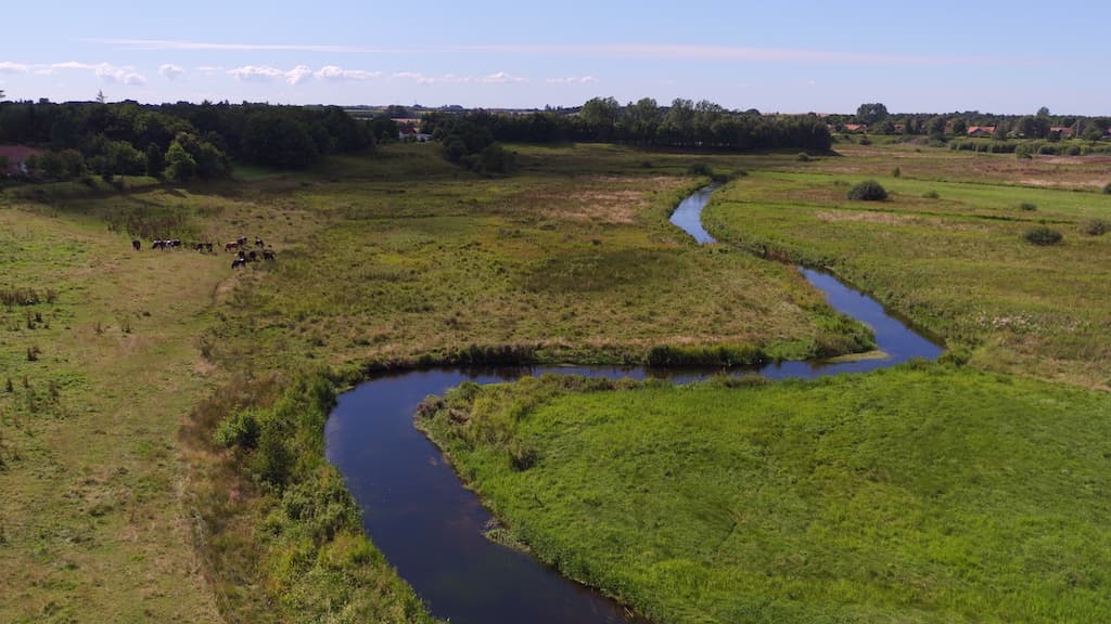 Flussangeln - Simested Å (Flüsschen)