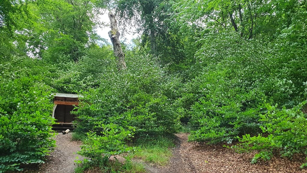 Shelterpladsen ved Ørnedalsbugten, Hobro