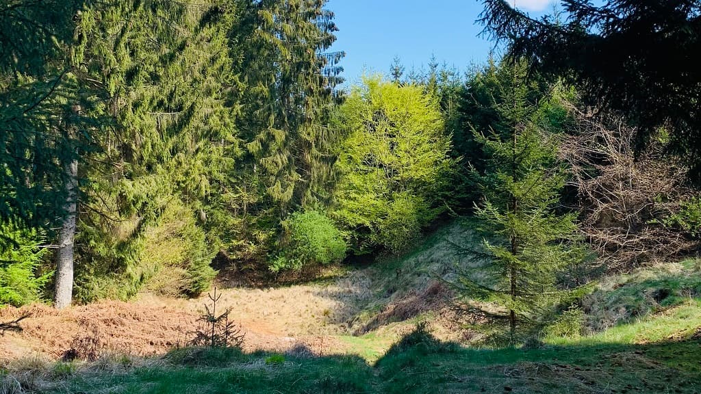 Hestegraven jordfaldshul