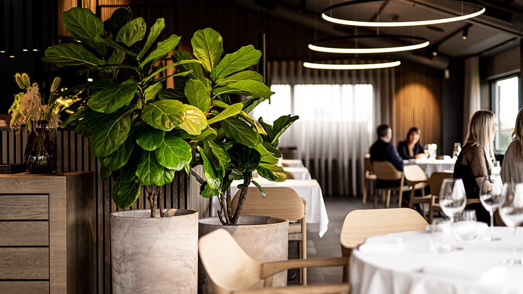 Restaurant HimmerRiget, HimmerLand