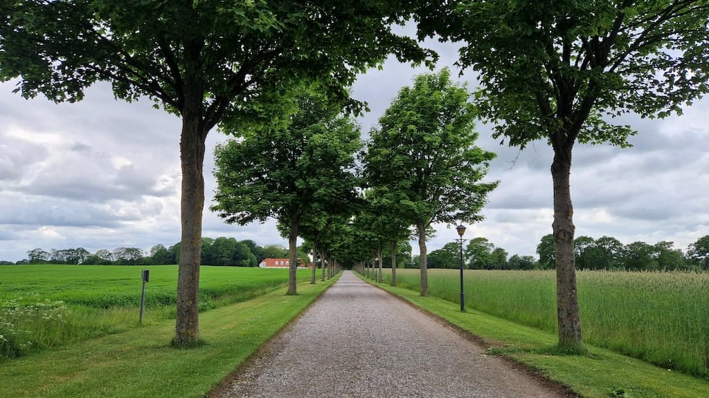 Hotel BramslevGaard Restaurant