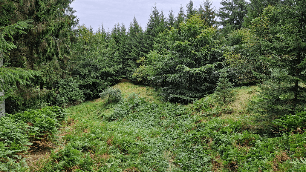 Hestegraven jordfaldshul