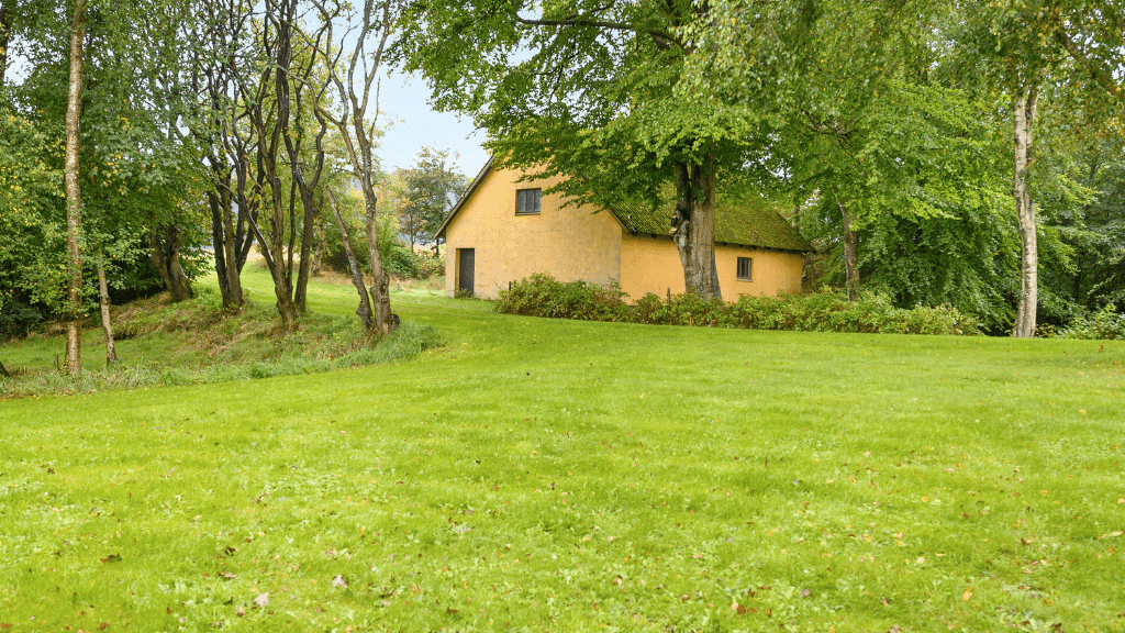 Mølle, Bed & Breakfast