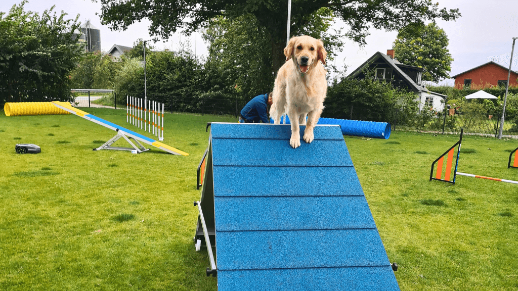 Glad hund, Rold Gl. Kro