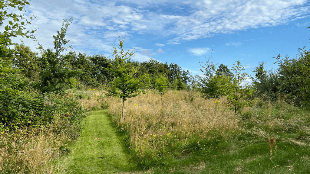 Møllehuset i Tolstrup
